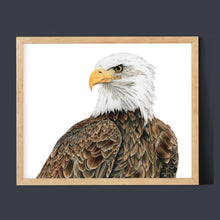 Load image into Gallery viewer, &quot;Freedom&quot; an Eagle Horizontal Colored Pencil Print
