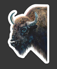 Load image into Gallery viewer, Bison Colored Pencil Drawing STICKER
