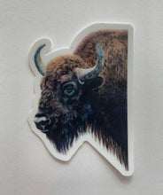 Load image into Gallery viewer, Bison Colored Pencil Drawing STICKER
