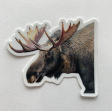 Load image into Gallery viewer, Moose Colored Pencil STICKER
