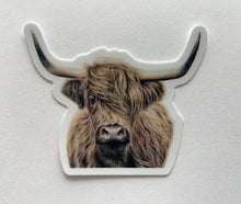 Load image into Gallery viewer, Highland Cow Colored Pencil Drawing STICKER
