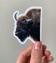 Load image into Gallery viewer, Bison Colored Pencil Drawing STICKER
