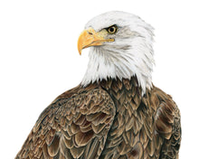 Load image into Gallery viewer, &quot;Freedom&quot; an Eagle Horizontal Colored Pencil Print
