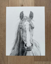 Load image into Gallery viewer, &quot;Vasco&quot; an Original Horse Pencil Drawing
