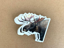 Load image into Gallery viewer, Moose Colored Pencil STICKER
