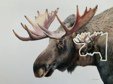 Load image into Gallery viewer, Moose Colored Pencil STICKER
